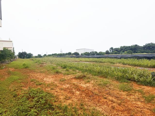 台中沙鹿農地-2