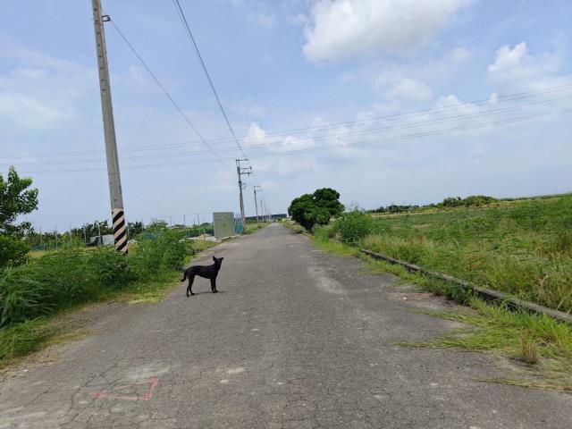 佳里農地-1