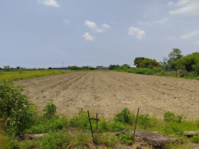 佳里農地-2