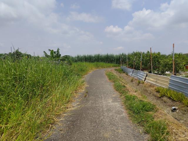 麻豆農地-5