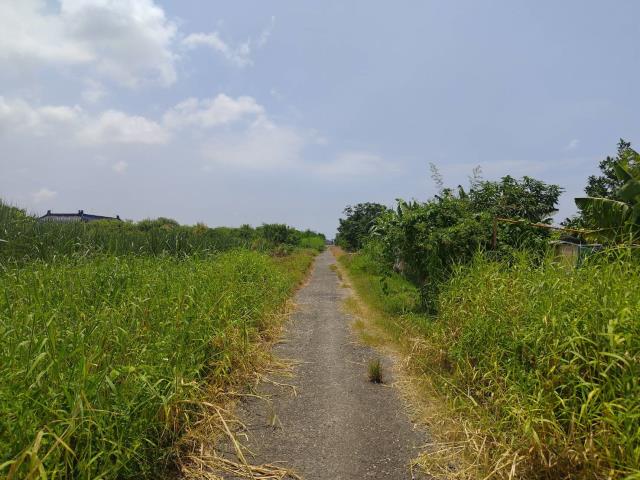 麻豆農地-8