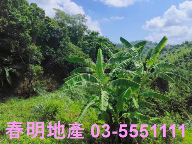 寶山農地-10