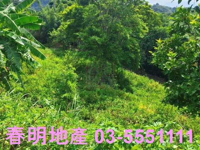 寶山農地-13