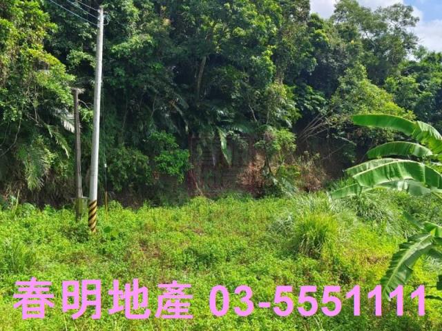 寶山農地-14