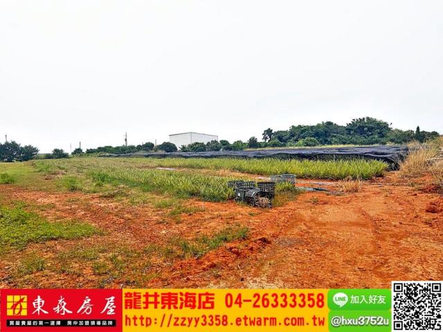 沙鹿農地-6