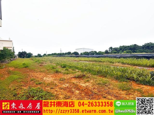 沙鹿農地-7