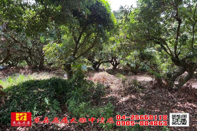 神岡農地-1