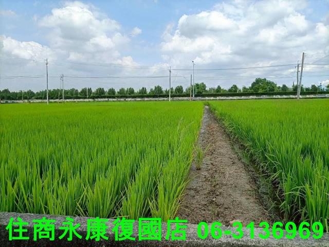 台南農地-1