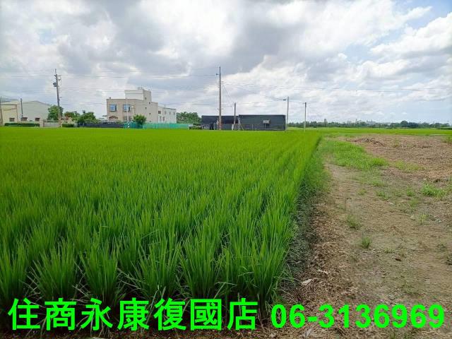 台南農地-5