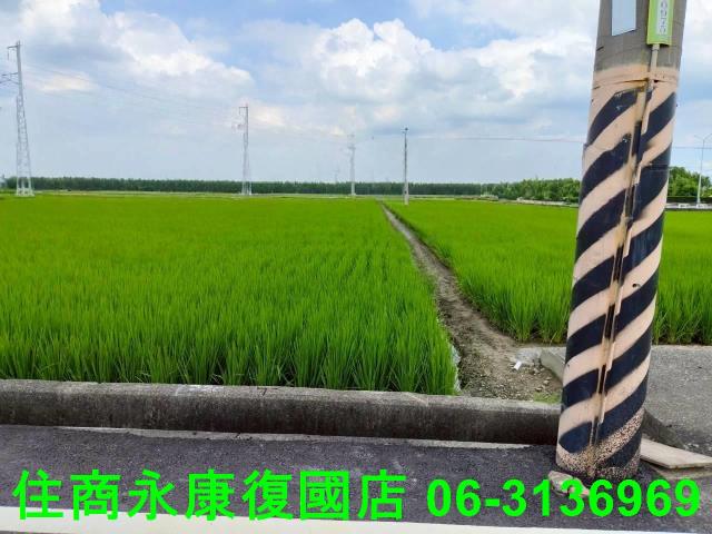 台南農地-8