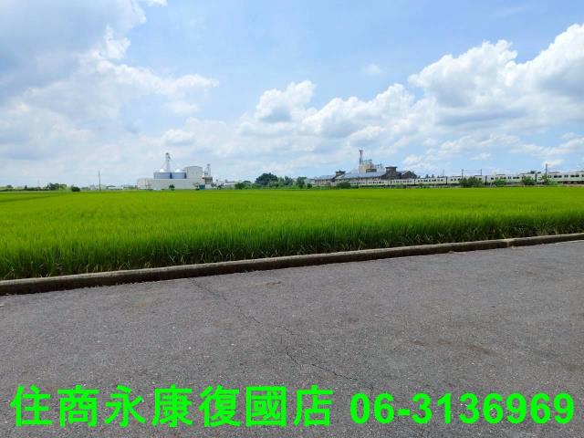 台南農地-11