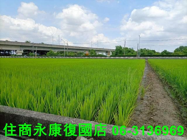 台南農地-4