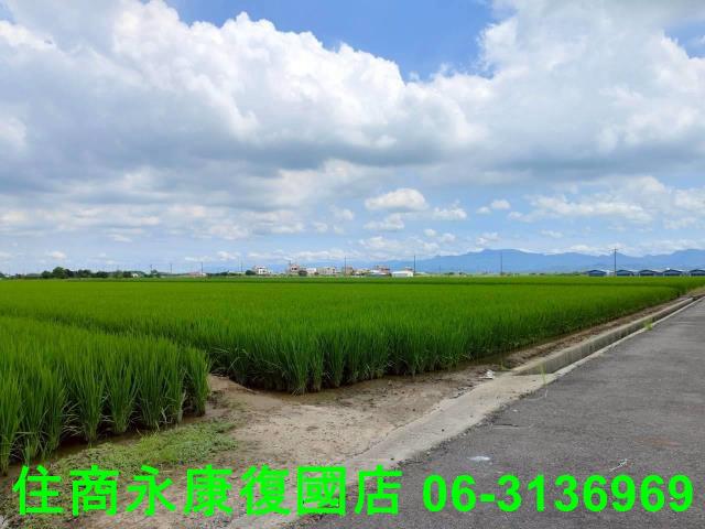 台南農地-6