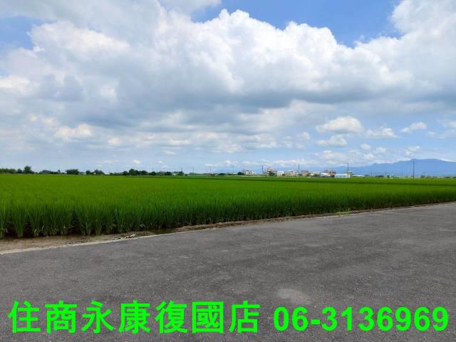 台南農地-7