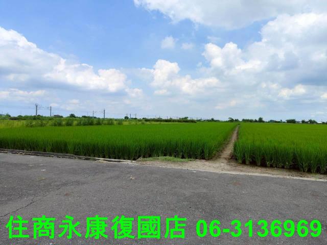 台南農地-8