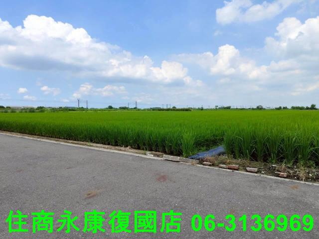 台南農地-9