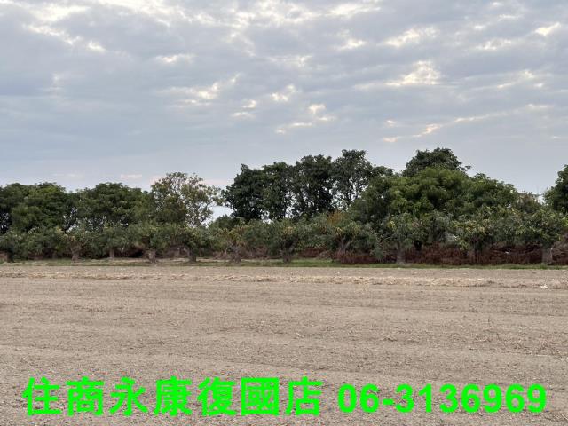 台南歸仁農地-8