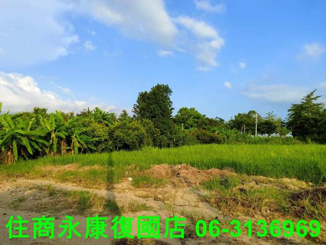 新化農地-14