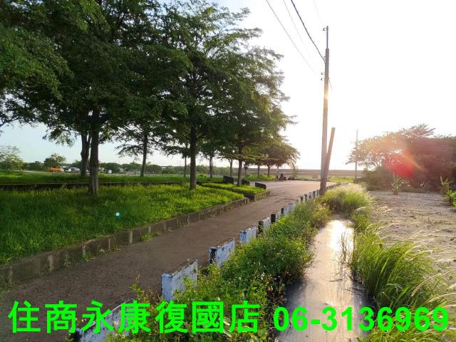 新化農地-15