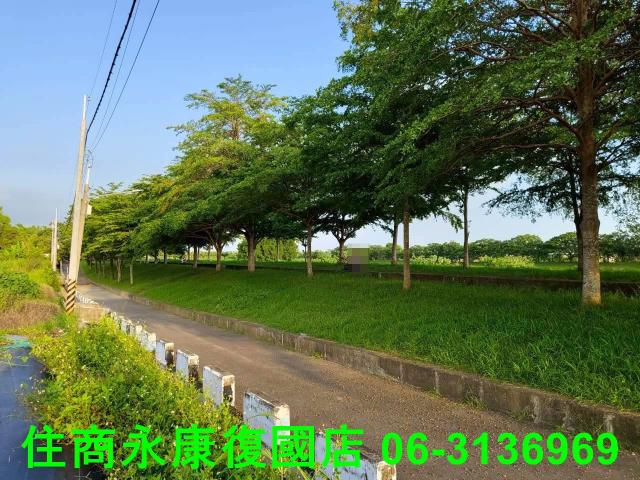 新化農地-2