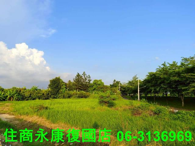 新化農地-3