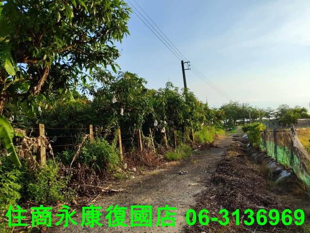 新化農地-5