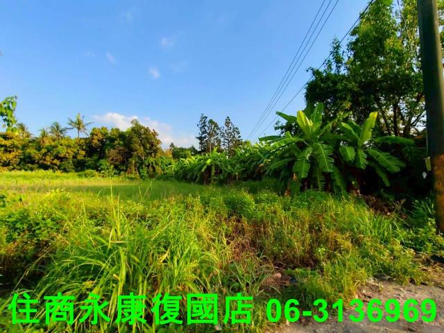 新化農地-6