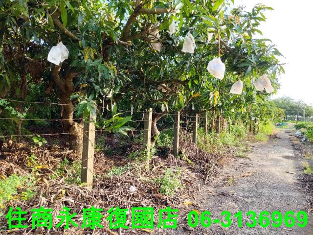 新化農地-7