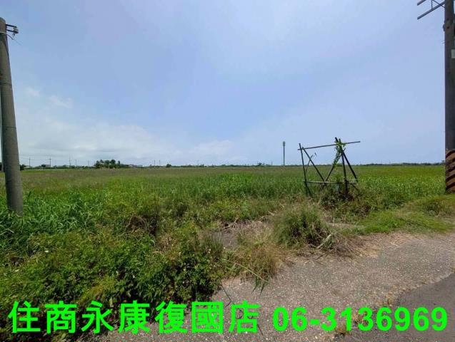 將軍農地-4
