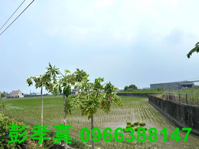 霧峰農地-11
