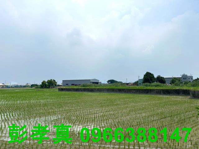 霧峰農地-9