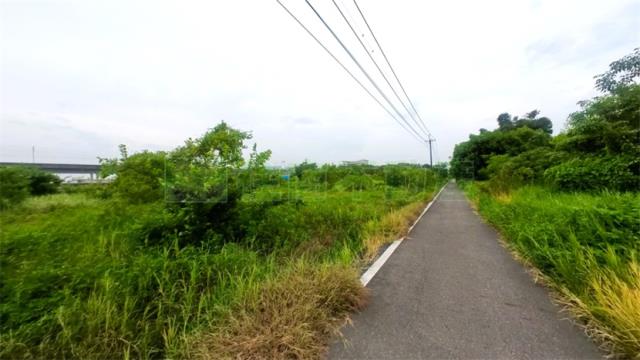 阿蓮農地-1