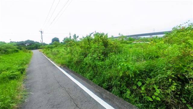 阿蓮農地-2