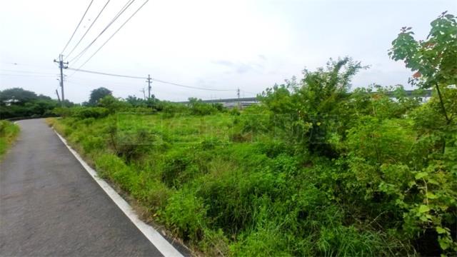 阿蓮農地-7