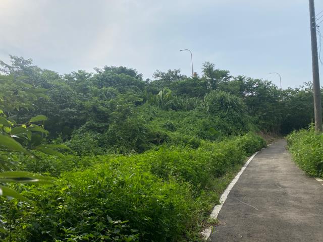桃園農地-11