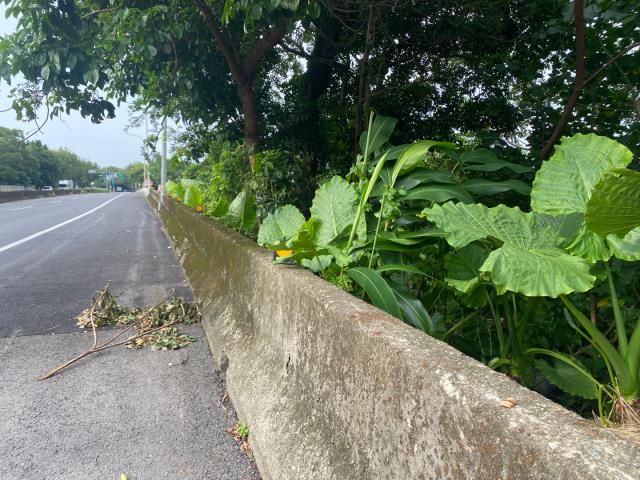 桃園農地-5