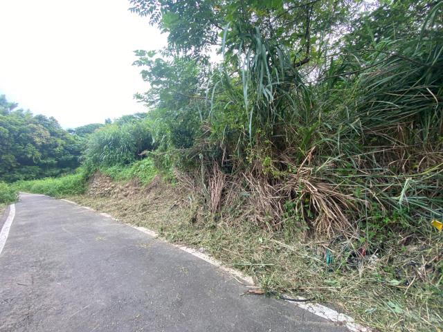 桃園農地-7