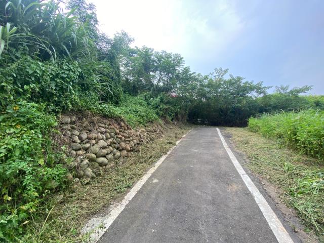 桃園農地-9
