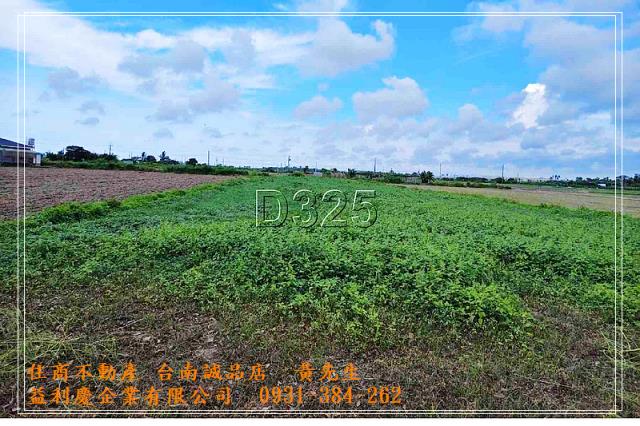 將軍角帶圍8米路農地