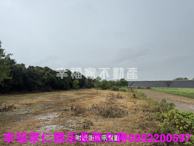 台南東山農地-12