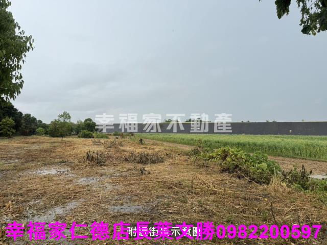 台南東山農地-4