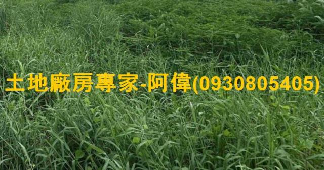 高雄大寮農地-1
