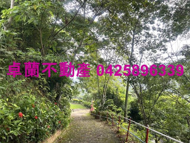 苗栗卓蘭農地-14