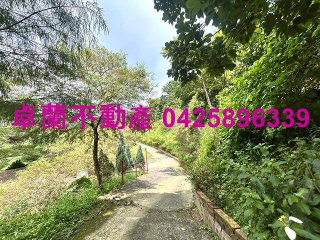 苗栗卓蘭農地-8