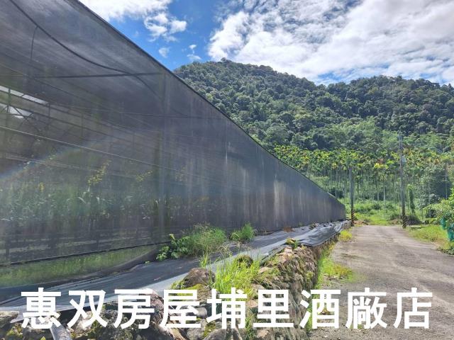 南投埔里休閒地-7
