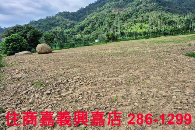 嘉義番路農地-12