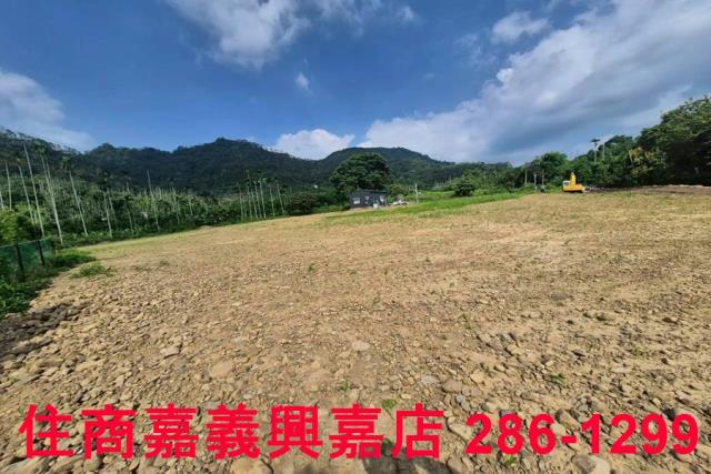 嘉義番路農地-13