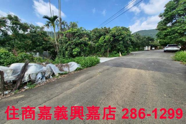 嘉義番路農地-1