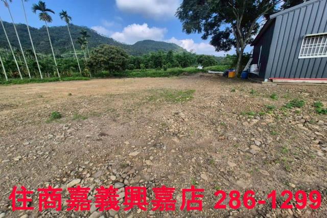 嘉義番路農地-4