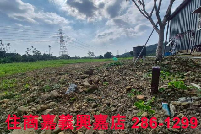 嘉義番路農地-5